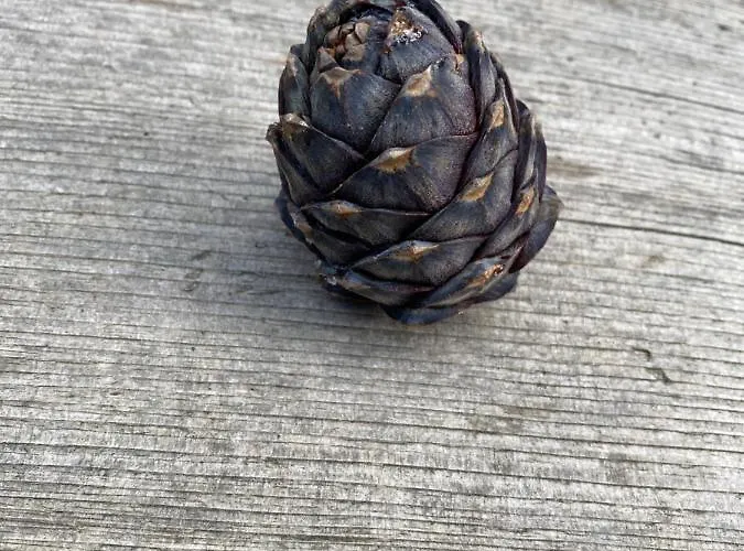 Turracher Berghuette Apartament Turracher Hohe